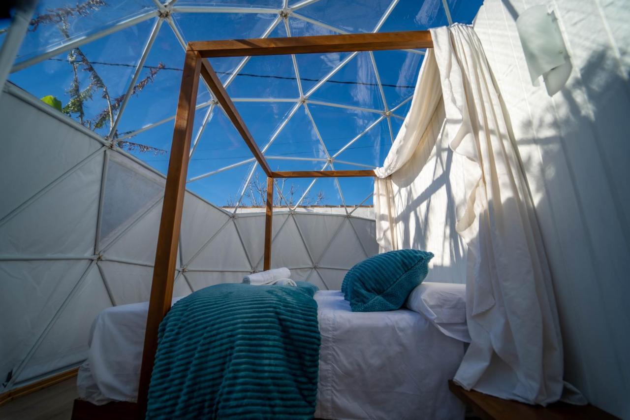 Holiday home Adama Glamping *
